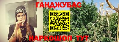 прущие грибы Краснодар
