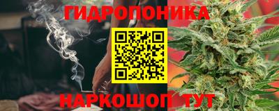 прущие грибы Кумертау