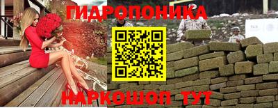 гидропоника Краснознаменск