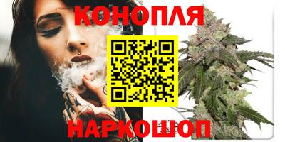 прущие грибы Краснодар