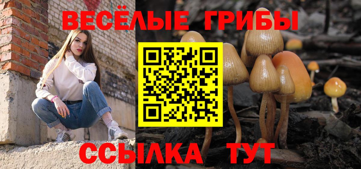 Галлюциногенные грибы Psilocybe  Вход с VPN  Псилоцибиновые грибы Psilocybe  Ейск 